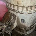 راس دينمو امريكي 50حصان شرط