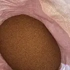 بذار برسيم كاف 101