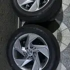 جنوط سوناتا