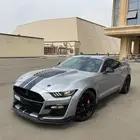 موستنج شلبي 2021 عالضمان