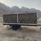 نحل للبيع