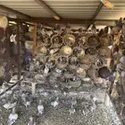 حمام فرنسي سلفر
