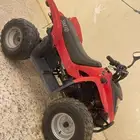 دباب سويدي
