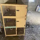 محاكر للبيع