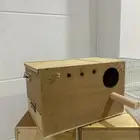 بياضه عش عصافير