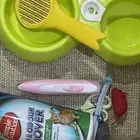 مستلزمات قطط