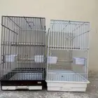 اقفاص ببقاء