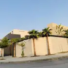 نخل واشنطن ملكي