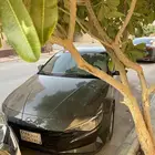 النترا 2021