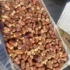 برني مطوق فاخر