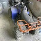 السلي