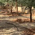 العنوان شقراء ونسا ح