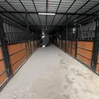 ايواء خيل - اسطبل للتقبيل