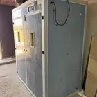 بريده