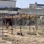 زراعه وحدائق