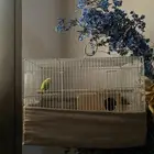 الرياض حي المنصوره