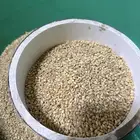 قمح عضوي الحنطة الصمعاء
