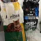 اكل قطط جاف