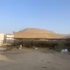 حضائر شبوك اغنام جاهزه للايجار شمال جده