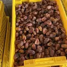 بيع تمر خلاص وصقعي وسكري ورنانه وبرحي