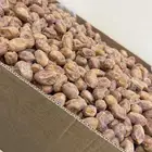 تمر أخلاص نقو كرتون الموز