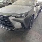 لكزس NX350AA موديل 2025