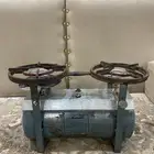قز عينين نظيف