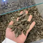 عود بخور   دهن عود   زعفران