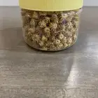 بذور عرفج للبيع