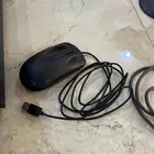 تبوك