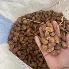 تمر لل الحلال حوالي 70 كيس