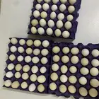 للبيع بيض بلدي يوميا