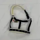 مستلزمات خيل