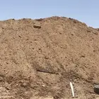يوجد دفان مجاني بحي الرمال