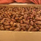تمور صفري غير منقى للبيع
