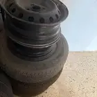 جنوط يارس - اكسنت