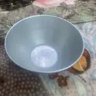 سحلة طاسة