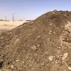 سماد بقر عضوي