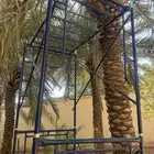 سقاله