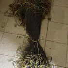 شوار حريد