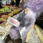 لافوفو