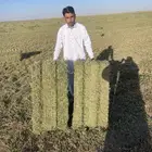 رشاش برسيم محوري للإيجار