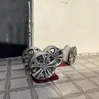 جنوط اكورد
