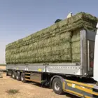 برسيم صافي شد شركة