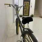 كوبرا مقاس 24