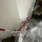 سيكل كوبرا