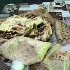 حفظ النعمه