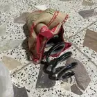 يايات بلد فورتشنر 2012