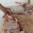 سواكن جملة وتفريد ويوجد توصيل