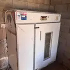 فقاسة فقاصة ماسة المحمدية